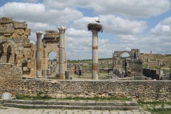 6 Tips for Attracting Chinese Tourists to Africa