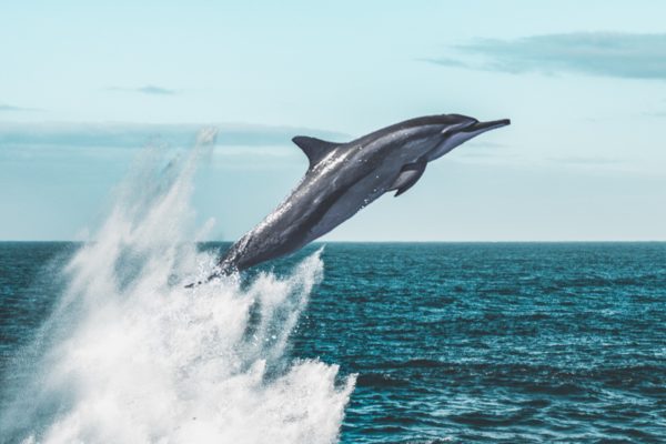 6 Reasons to Be Optimistic about Sustainable Tourism from China